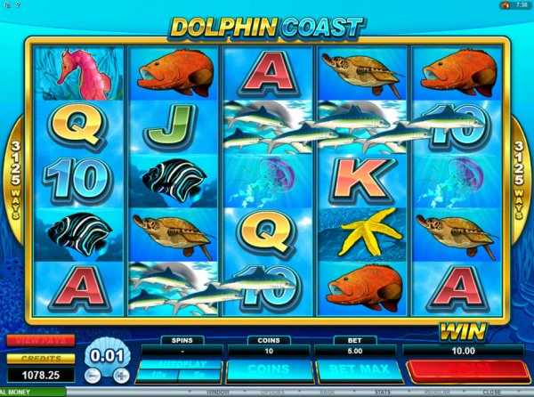 Dolphin Coast Slot fun88 slot machine bonus reward 1